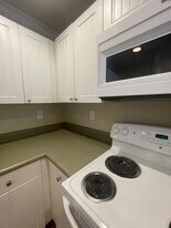 1105 Tree Top Way in Knoxville, TN - Building Photo