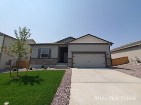 987 Cascade Falls St in Windsor, CO - Building Photo