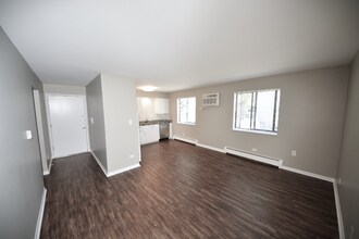 319 Bluff Ave in La Grange, IL - Building Photo - Building Photo