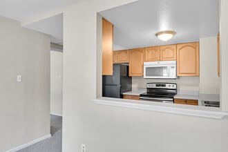 836 Sleepy Hollow Dr in Bailey, CO - Building Photo - Building Photo