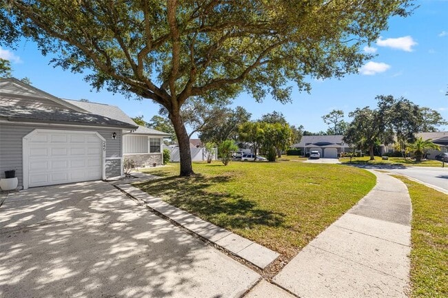 245 Petrea Dr