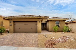 1011 Via Nandina Pl in Henderson, NV - Building Photo