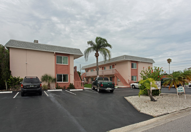 313 Woodette Dr in Dunedin, FL - Foto de edificio - Building Photo