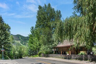 117 Neale Ave in Aspen, CO - Building Photo
