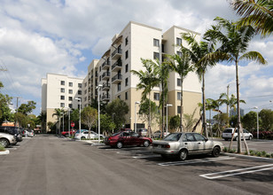 Amistad Apartments in Miami, FL - Building Photo - Building Photo