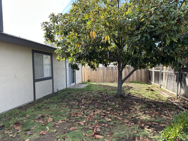 1371 Marline Ave in El Cajon, CA - Building Photo - Building Photo