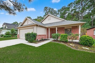 21907 Willow Downs Dr in Tomball, TX - Building Photo
