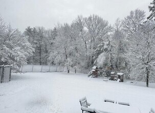 395 Critchett Rd in Candia, NH - Building Photo - Building Photo