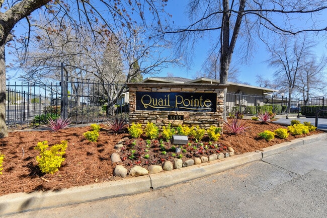 Quail Pointe