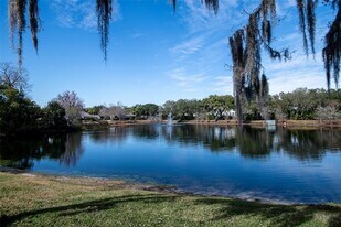 2411 Gallery View Dr in Winter Park, FL - Building Photo