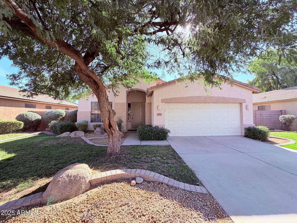 2061 E Bellerive Pl in Chandler, AZ - Building Photo