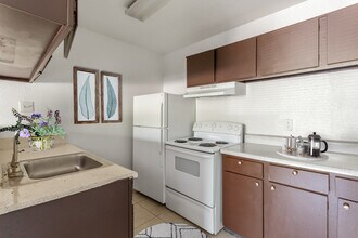 Spring Rose in Houston, TX - Building Photo - Building Photo