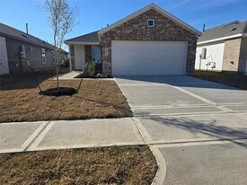 21531 Willow River Canyon Ln in Waller, TX - Building Photo