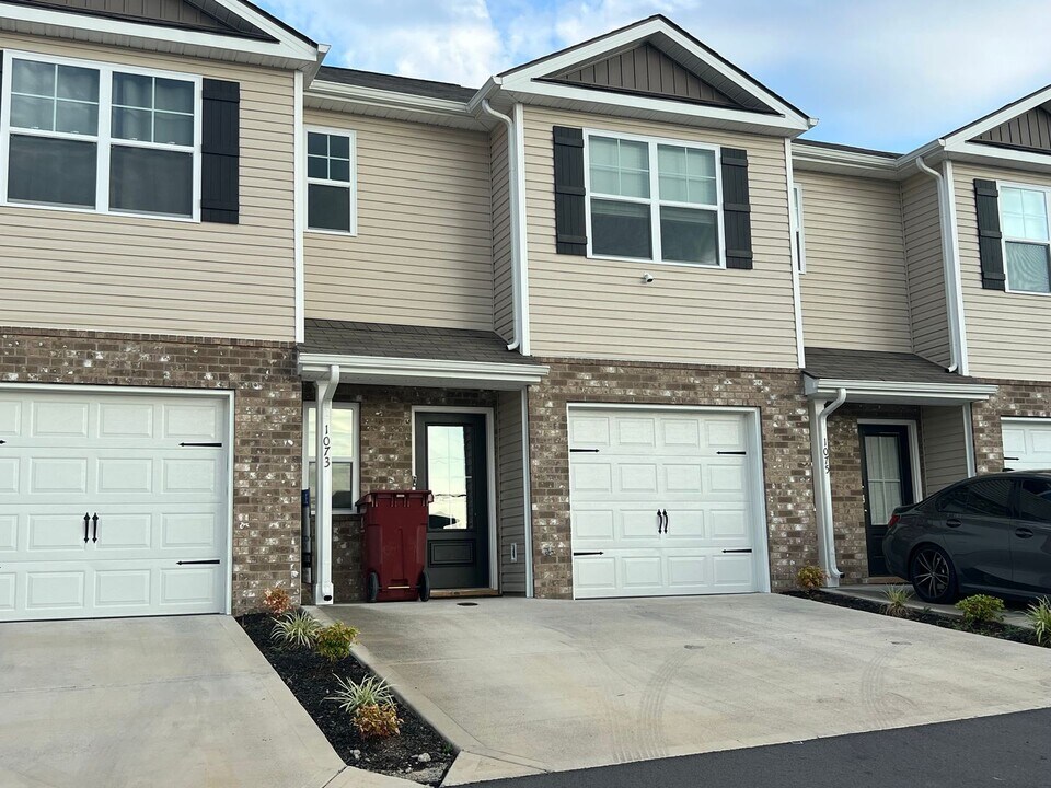 1073 Hammett Rd in Johnson City, TN - Building Photo