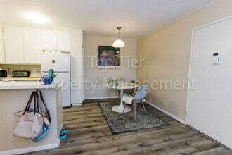 1775 Diamond St in San Diego, CA - Building Photo - Building Photo