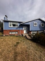 1002 Barbi Ct in Castle Rock, CO - Building Photo