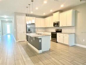 8072 Lago Mist Wy in Wesley Chapel, FL - Building Photo - Building Photo