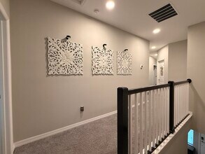 2490 Stapleford Pl in Wesley Chapel, FL - Building Photo - Building Photo