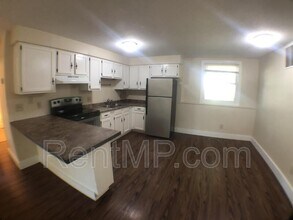 303 S Oak St in Mt. Pleasant, MI - Building Photo - Building Photo