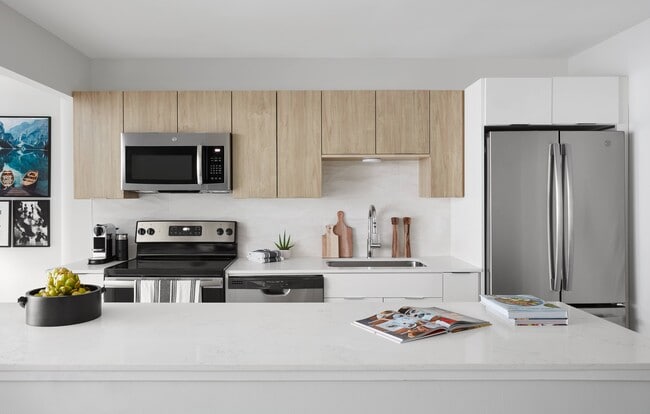River City Apartments in Chicago, IL - Building Photo - Building Photo