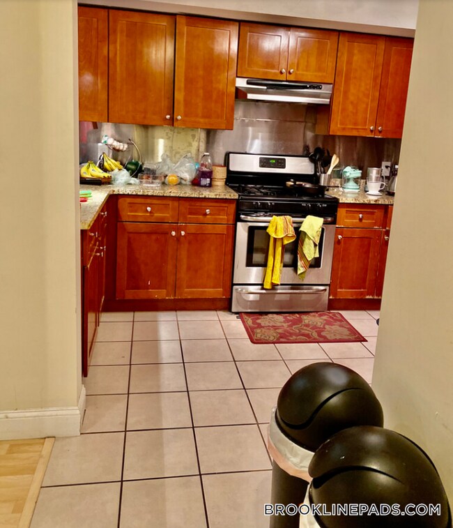 10 Strathmore Rd in Brookline, MA - Building Photo - Building Photo