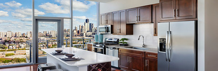 The Residences at NewCity in Chicago, IL - Building Photo - Building Photo