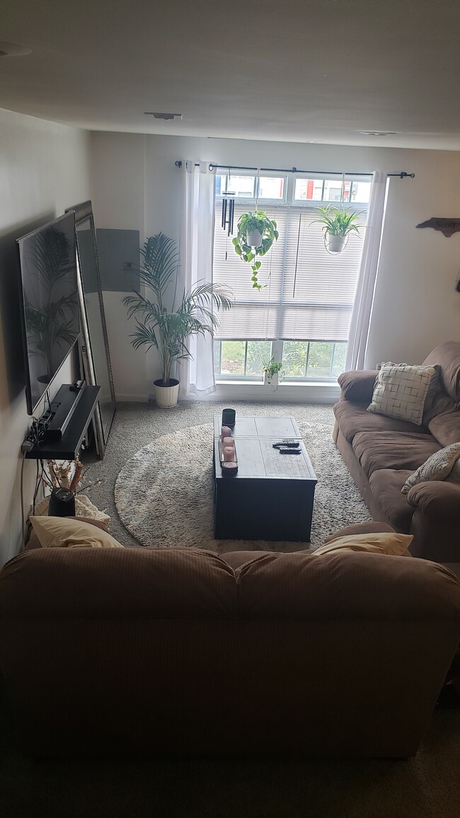 property at 3010 Barrymore St