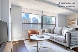 445 E Ohio St, Unit SI FL22-ID787 in Chicago, IL - Building Photo