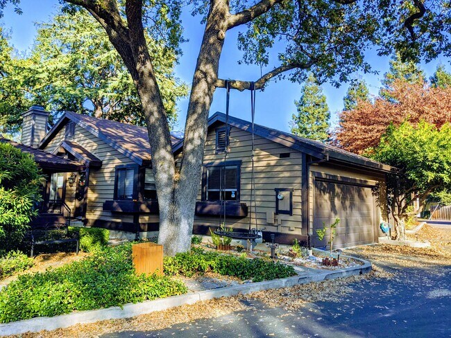property at 206 Charter Oak Cir