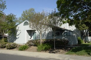 3562 Silver Oaks Way in Livermore, CA - Building Photo