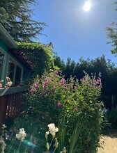 14717 Carrier Ln in Guerneville, CA - Building Photo - Building Photo