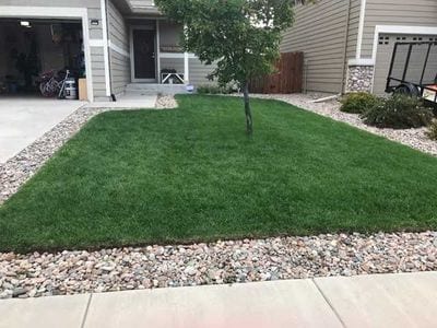 14230 Woodrock Path in Colorado Springs, CO - Building Photo - Building Photo