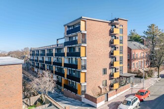 345-347 Harvard St in Cambridge, MA - Building Photo - Primary Photo