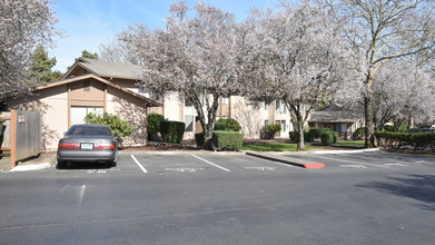 Englewood Terrace Apartments in Tigard, OR - Building Photo - Building Photo