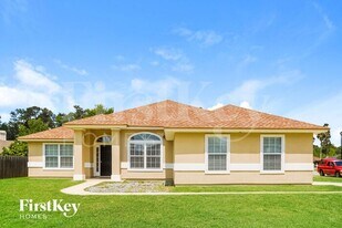 4078 Whitebark Plantation Dr in Middleburg, FL - Building Photo