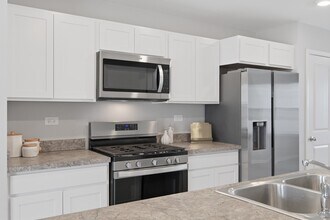 217 Goldenrod Dr in Elgin, IL - Building Photo - Building Photo