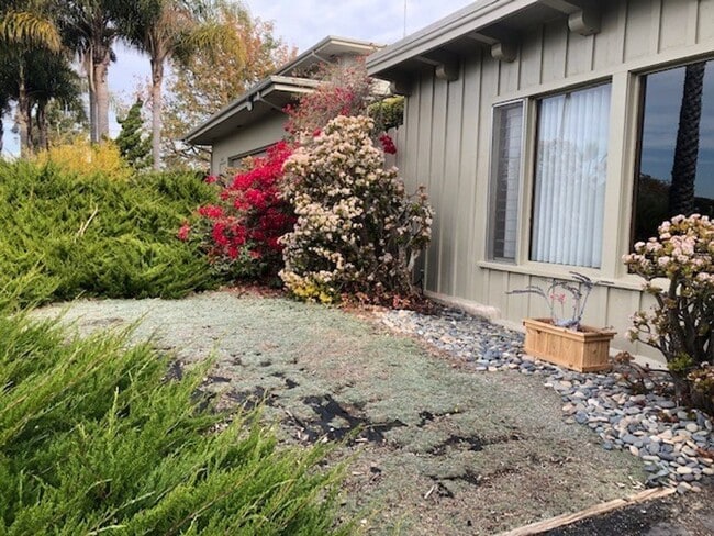 915 Brittany Ave in Encinitas, CA - Building Photo - Building Photo