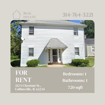 212 S Chestnut St, Unit 4 in Collinsville, IL - Building Photo