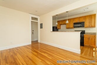 286 Chestnut Hill Ave in Boston, MA - Building Photo - Building Photo