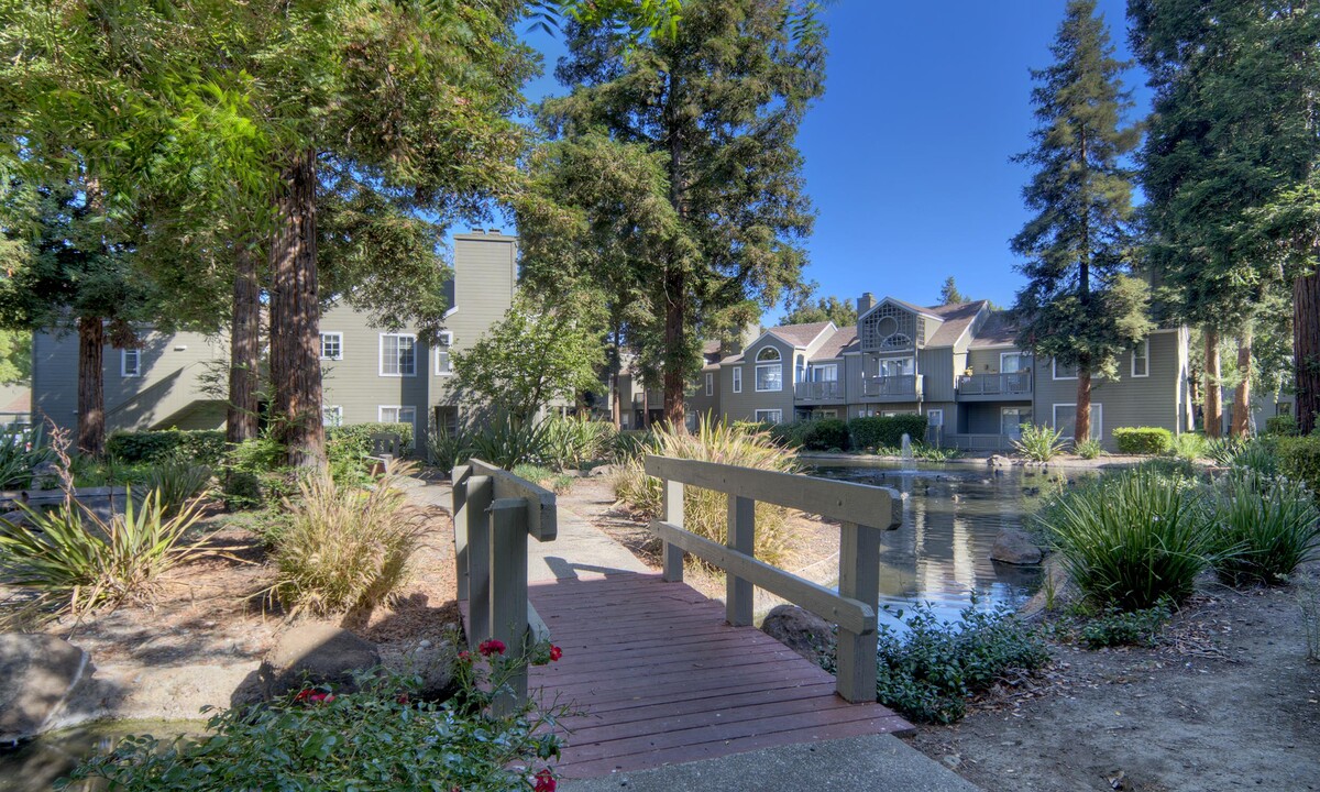 Wood Creek in Pleasant Hill, CA - Building Photo