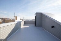 2441 Mutter St photo'