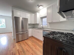 226 W 24th St in Chicago, IL - Building Photo - Building Photo