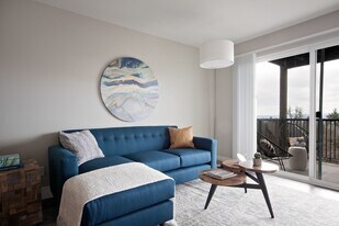 Milo at Mountain Park