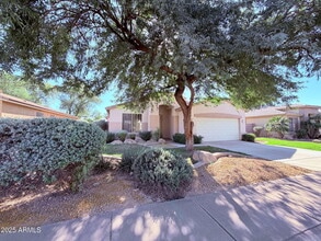 2061 E Bellerive Pl in Chandler, AZ - Building Photo - Building Photo