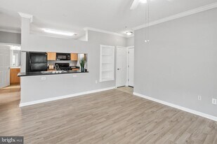 13505 Kildare Hills Terrace in Germantown, MD - Building Photo