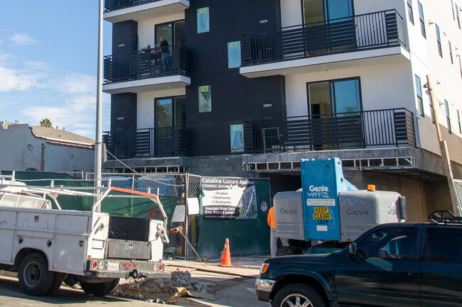 924 S Catalina St in Los Angeles, CA - Foto de edificio - Building Photo