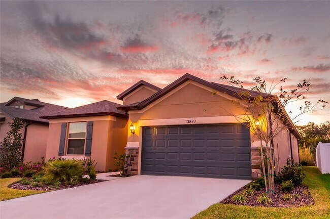 13877 Carlow Pk Dr in Riverview, FL - Building Photo - Building Photo