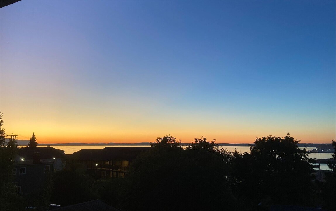 715 N Forest St in Bellingham, WA - Building Photo