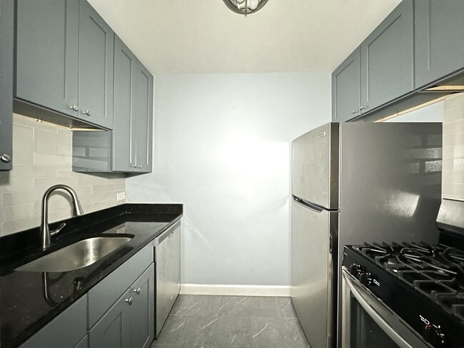 663 W Grace St in Chicago, IL - Foto de edificio - Building Photo