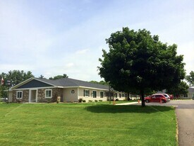 228 Dewitt Ave in Fremont, MI - Building Photo